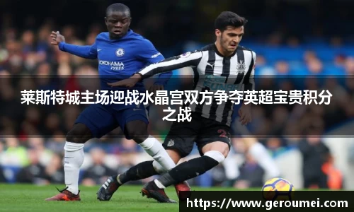 莱斯特城主场迎战水晶宫双方争夺英超宝贵积分之战
